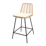 BANCO DE EXTERIOR PERSEO GUYANA