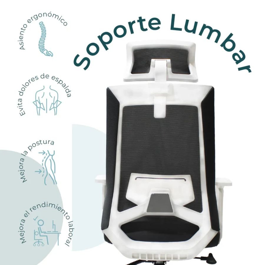 SILLA EJECUTIVA COLUMBA Soporte lumbar silla Columba ScrivaniaMx